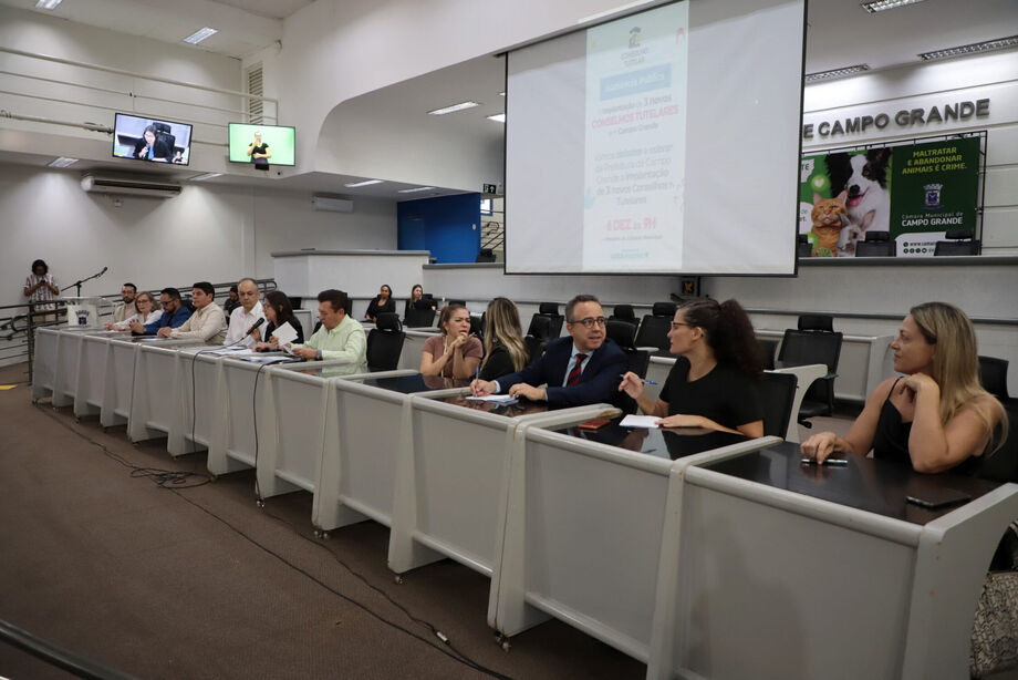 Audiência sobre a criação de três novos conselhos tutelares na Capital tem participação do MPMS