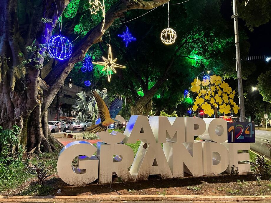 A decoração está linda. Lembrando que o nosso Natal já começou nos bairros nesta semana, no Alves Pereira, diz prefeita