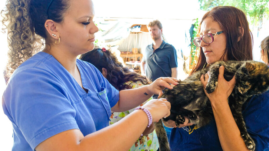 A unidade central da Subea distribui 15 senhas pela manhã e 15 senhas à tarde para atendimento veterinário.