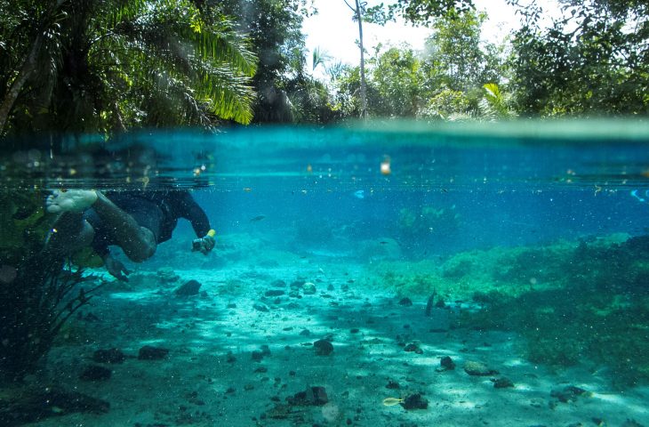 Bonito, considerado um dos melhores destinos de ecoturismo do mundo e referência no segmento, está entre os 10 destinos turísticos mais desejados pelos brasileiros para viagens nacionais neste ano