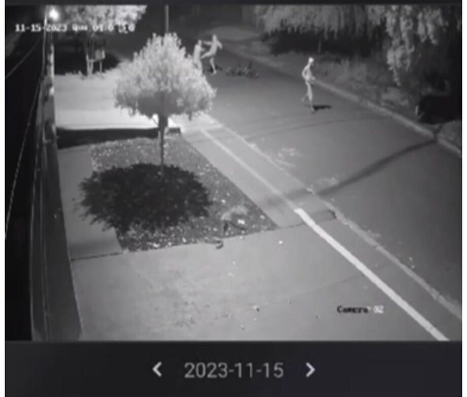 Polícia Civil prende homem que agrediu idoso para roubar celular em Dourados