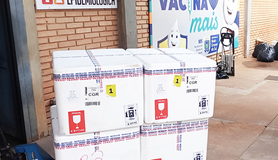 Lote de vacinação