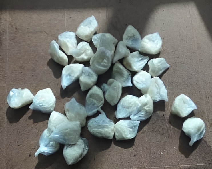 Polícia Civil prende homem por tráfico de drogas em Campo Grande