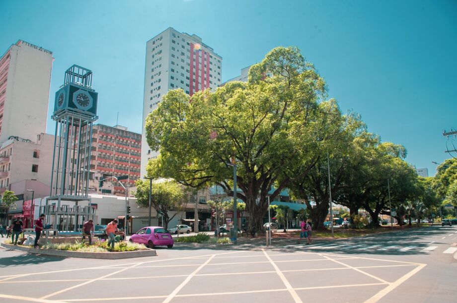 Campo Grande celebra o reconhecimento como uma Tree City of the World pelo 5º ano consecutivo