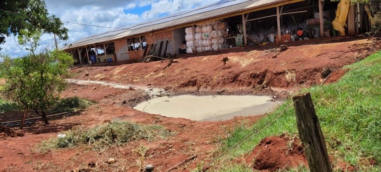 em Caarapó, IAGRO e PMA desarticulam recicladora clandestina de embalagens de agrotóxico