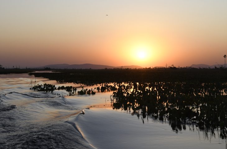 A sexta-feira (9) tem previsão de sol e variação de nebulosidade em Mato Grosso do Sul