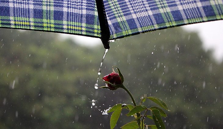 Chuvas avançam pelo Mato Grosso do Sul com ventos fortes e calor persistente