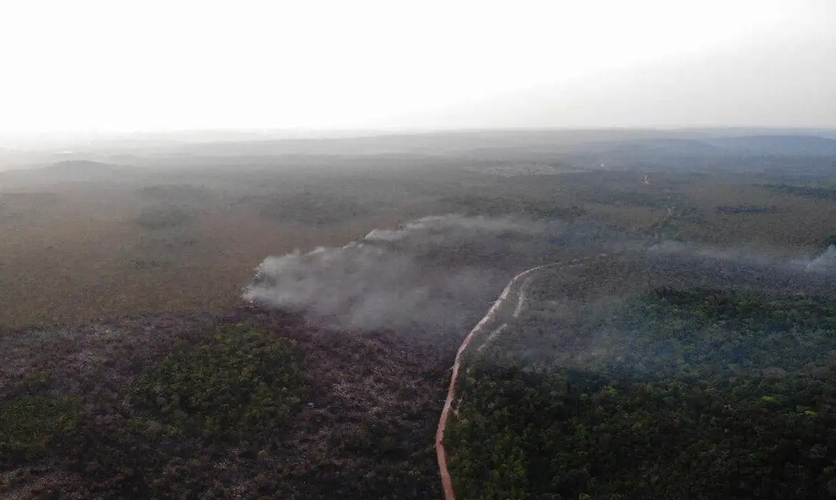 Os três estados com maior área queimada em janeiro ficam na Amazônia