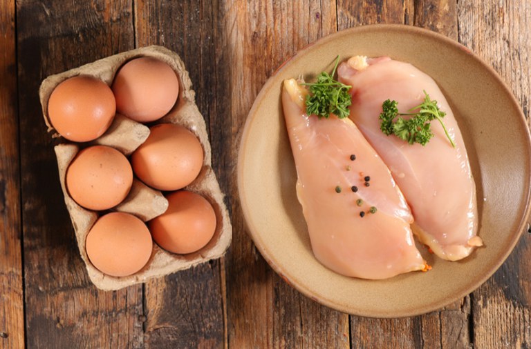 El Salvador autoriza abertura de mercados para exportação brasileira de ovos e carnes de aves