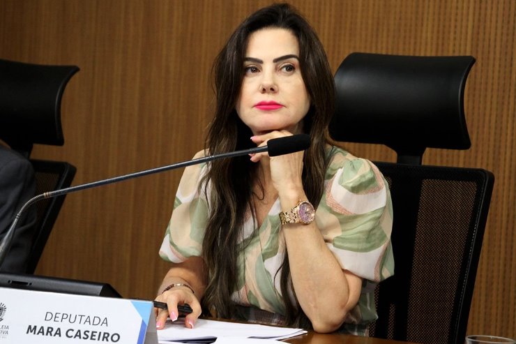 A nova lei é de autoria da deputada estadual Mara Caseiro