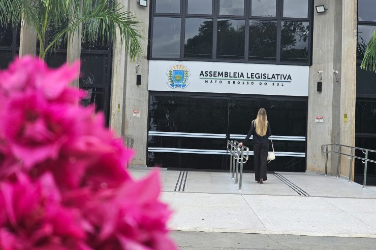 ALEMS fortaleceu, neste mês, a legislação em defesa e proteção das mulheres, com aprovação de quatro leis e apresentação de diversos projetos