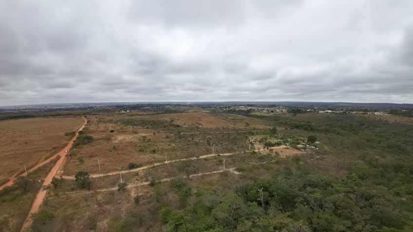 Cerrado tem registrado alta do desmatamento