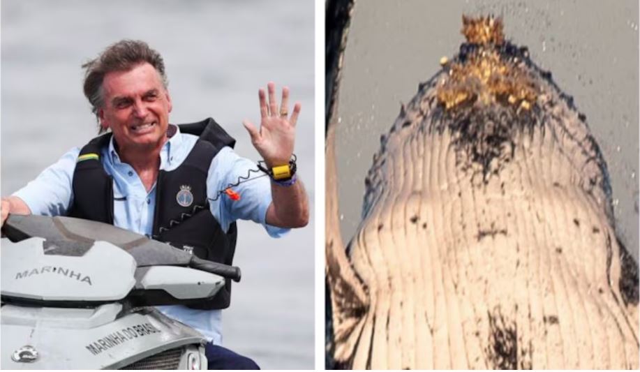 Investigação foi aberta depois que próprio Bolsonaro postou vídeo do passeio nas redes