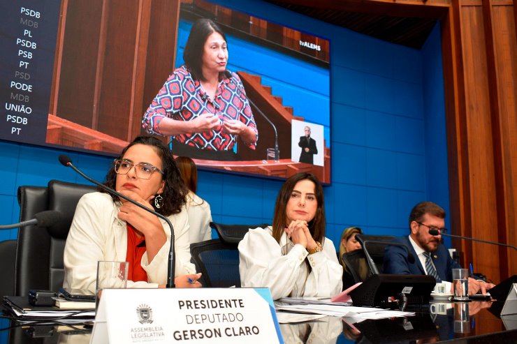 A partir da fala da vereadora Luiza Ribeiro, reflexão sobre o tema foi trazida ao Plenário nesta quarta-feira