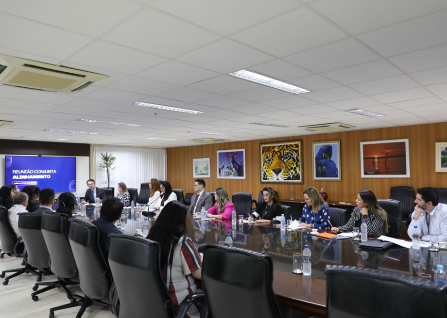 Reunião sobre metas nacionais e Prêmio CNJ de Qualidade enfatiza alinhamento de setores do TJMS