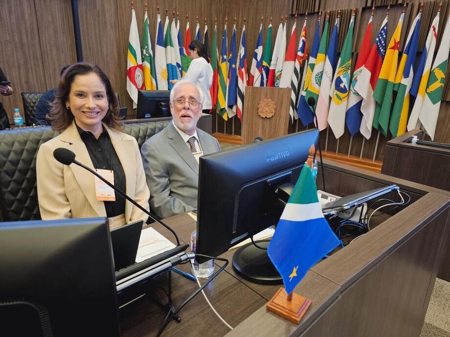 TJMS participa de evento de adoção internacional de crianças e adolescentes