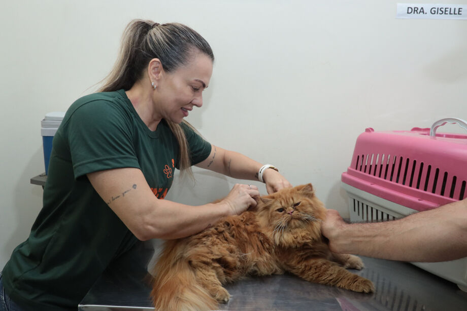 Subea em Ação acontece na Vila Nasser nesta terça-feira (21)