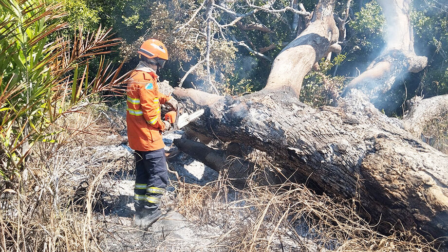 Incêndio no Pantanal está sendo contido pelo Corpo de Bombeiros