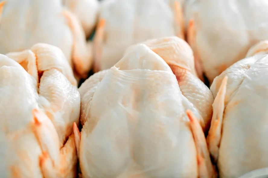 Ministério da Agricultura autoembarga exportação de frango após caso de Newcastle