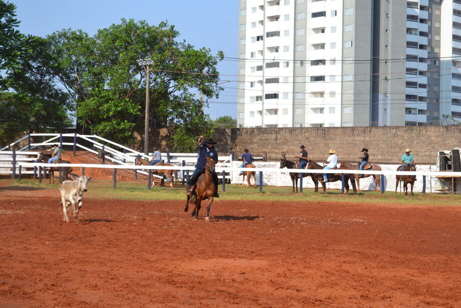 Entre laços e exames: Acrissul reforça sanidade animal na 2ª Expoequestr