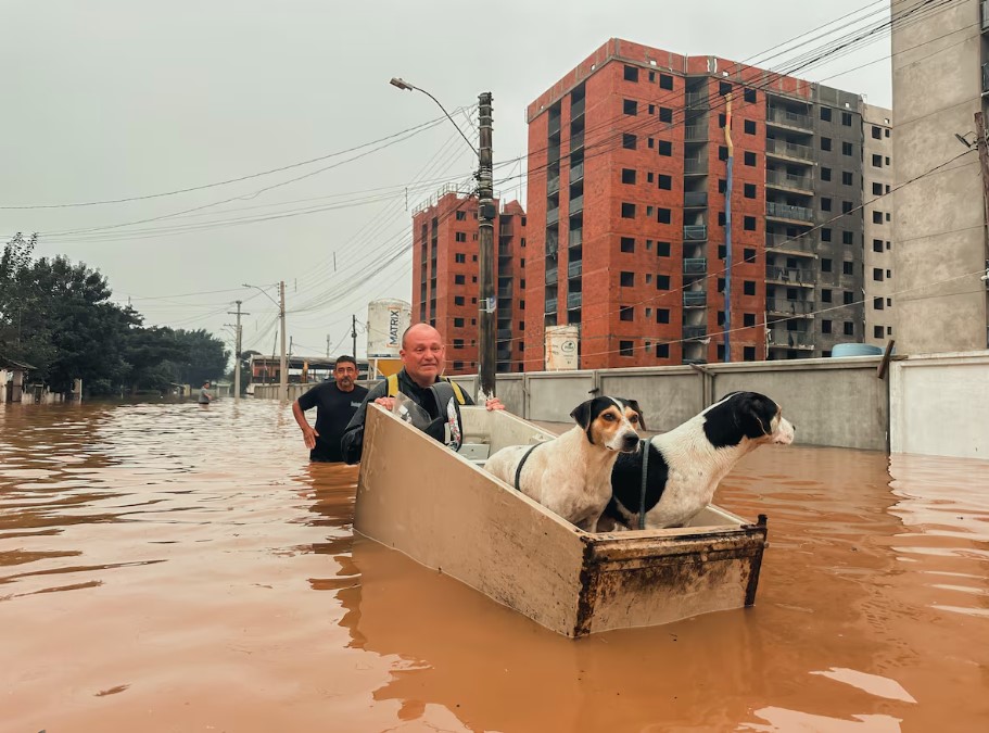 Morador tenta salvar seus cães em São Leopoldo, na Grande Porto Alegre, inundada pelo temporal.
