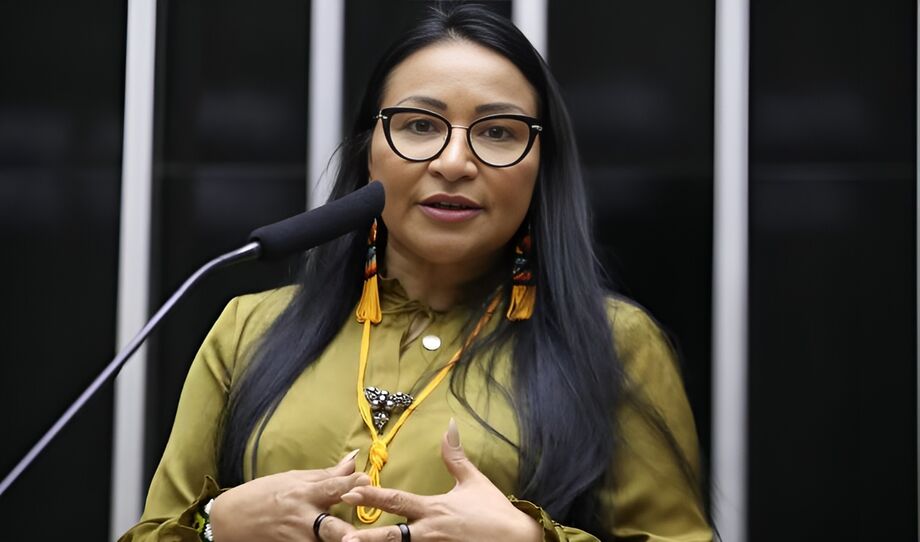 Silvia Waiãpi