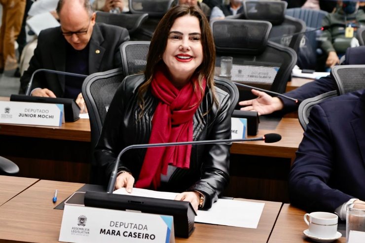 A deputada estadual Mara Caseiro (PSDB)