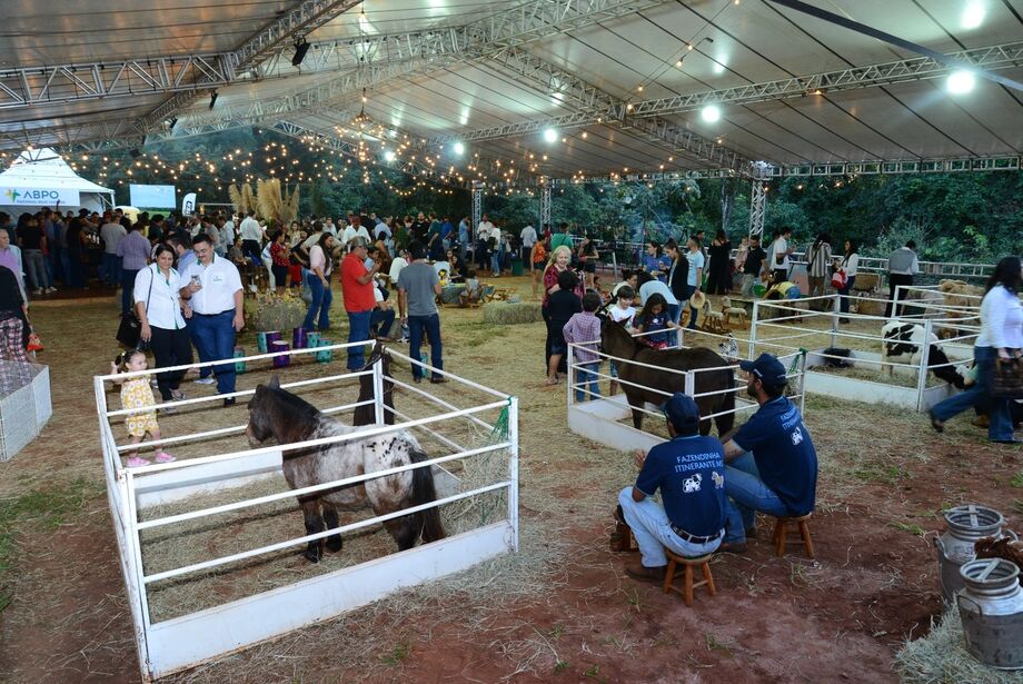 Fazendinha com mini animais é atração no Interagro 2024