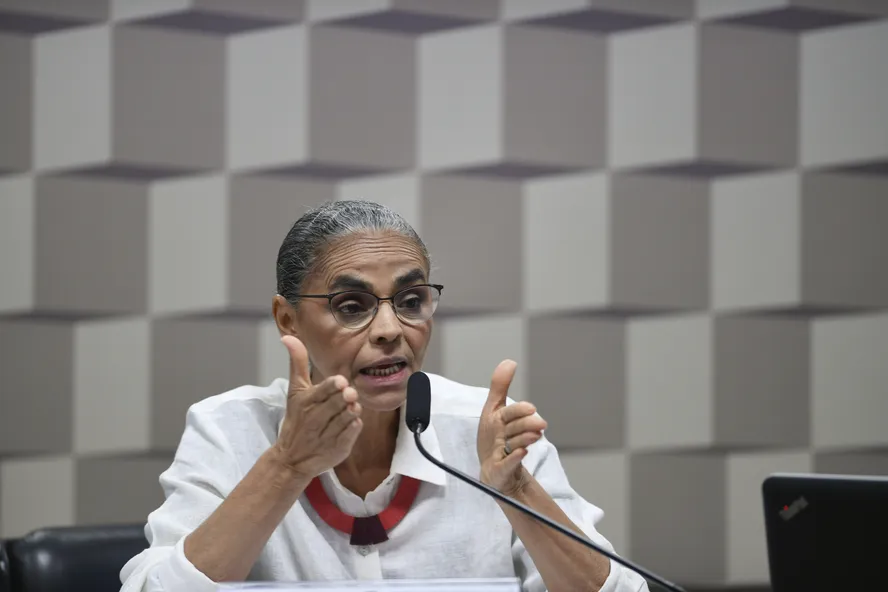 Marina Silva diz que incêndios no Pantanal e na Amazônia são por 'ação humana'