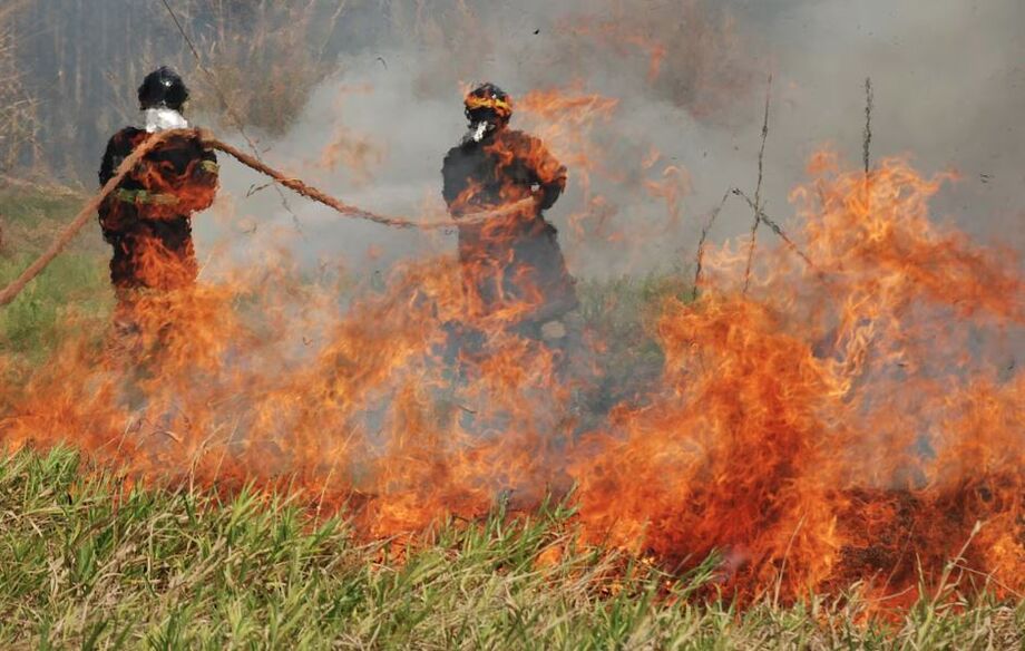 Com chuva abaixo da média história e seca impulsionada pelo El Niño, incêndios castigam o Pantanal; bombeiros tentam conter chamas na região de Dourados