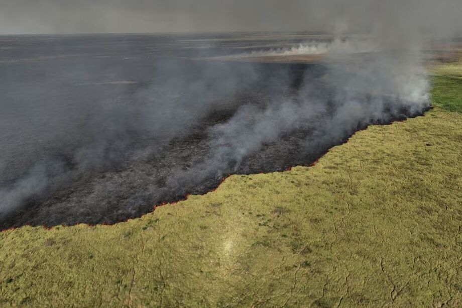Vista de drone de incêndio florestal em Corumbá, MS, em 10 de junho de 2024
