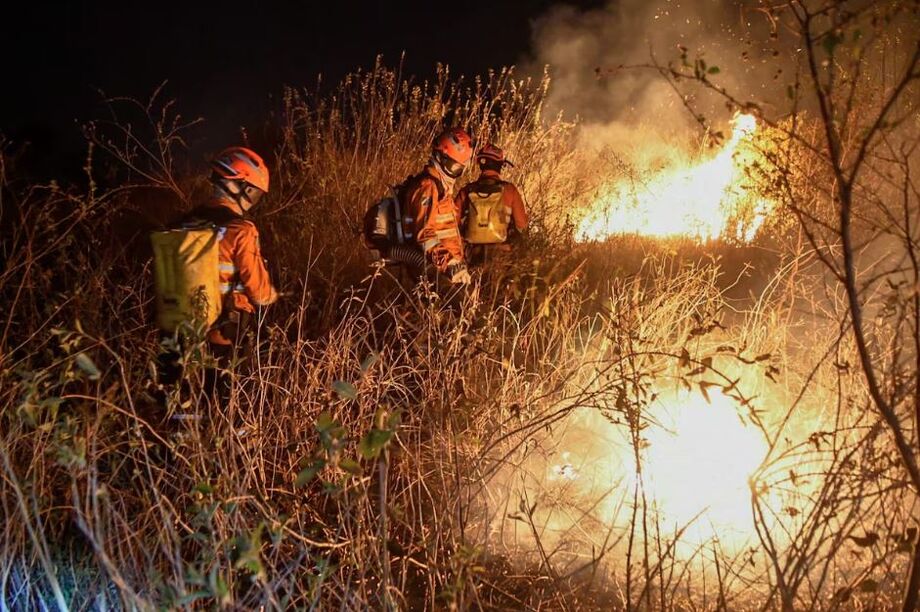 Governo de Mato Grosso do Sul declarou situação de emergência em cidades afetadas por incêndios florestais