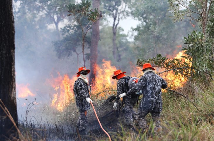 Nessa ação, foram empregados 25 homens entre Força Nacional e militares do Corpo de Bombeiros de Mato Grosso do Sul.