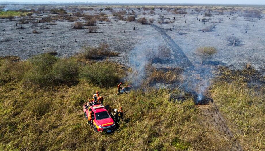 Trabalho terrestre dos bombeiros no combate as chamas no Pantanal