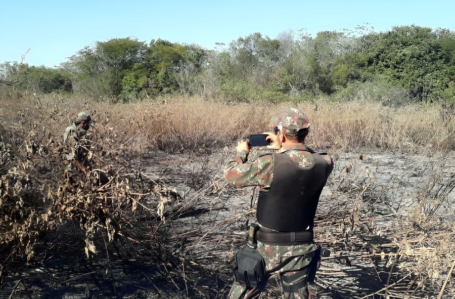 PMA trabalha para combater crimes do tipo em MS