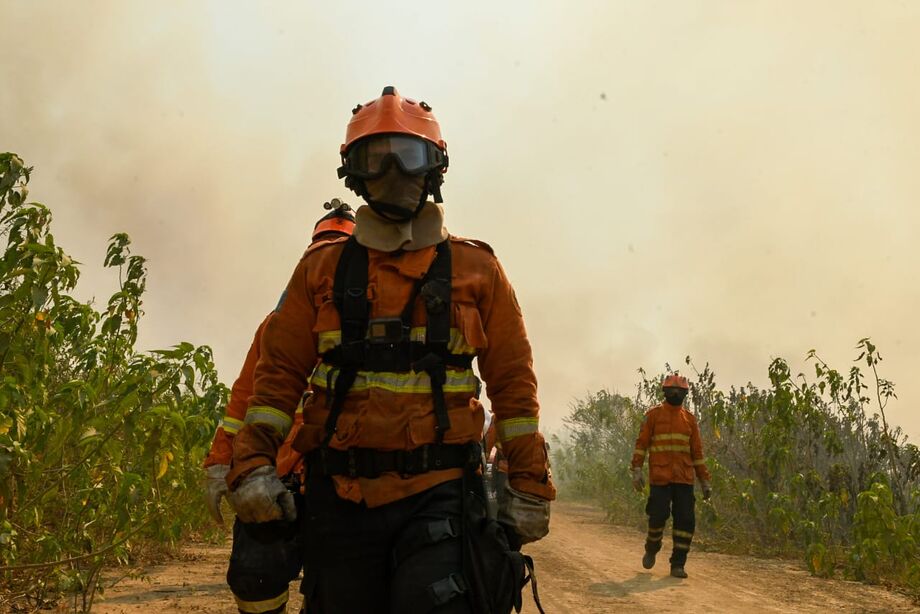 Militares estão na linha de frente