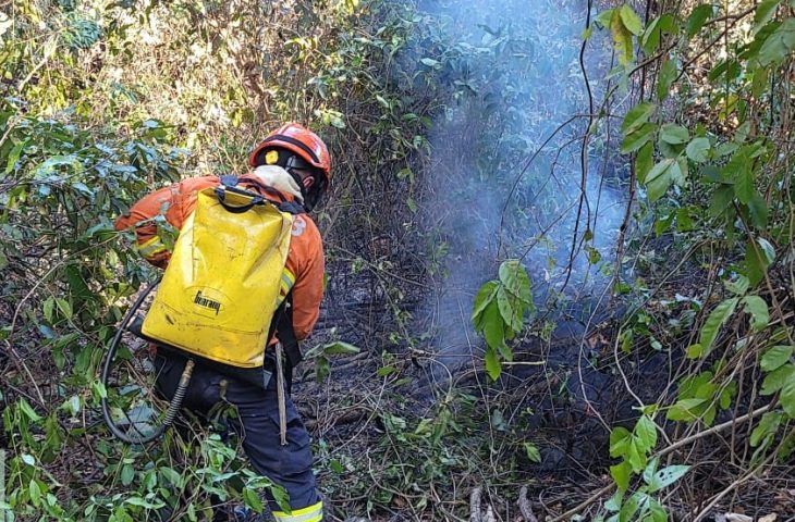 Com incêndios ativos, bombeiros de MS atuam para controlar chamas em diferentes áreas do Pantanal