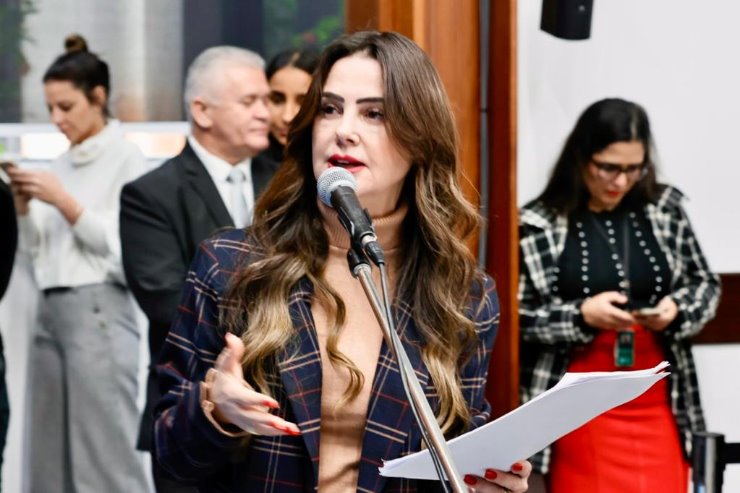 A deputada estadual Mara Caseiro (PSDB)