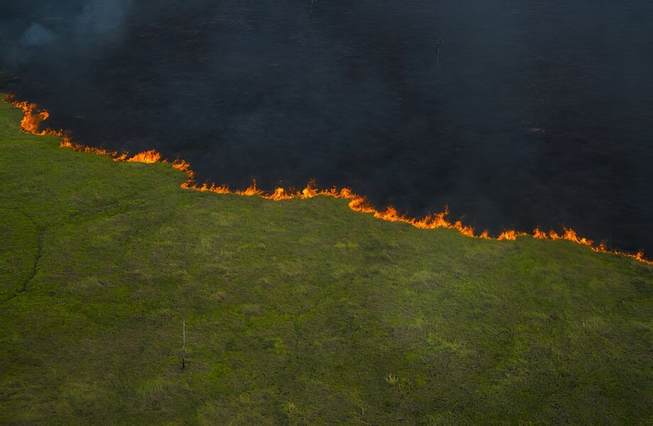 Incêndio no Pantanal