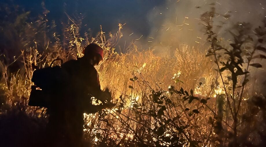 Incêndios no Pantanal