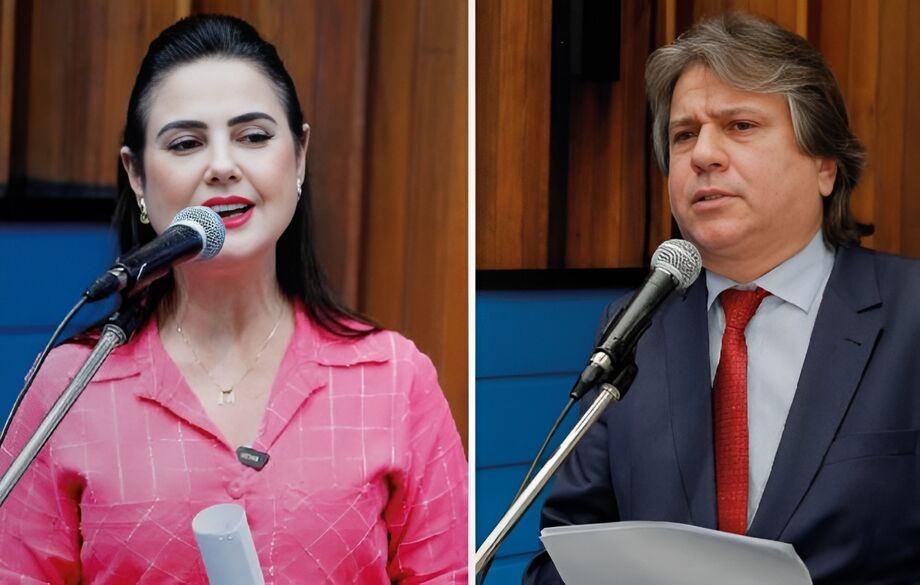 Deputada Mara Caseiro e deputado Caravina são os novos integrantes da Comissão