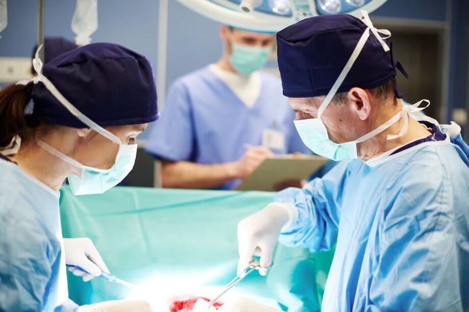 Cirurgias com órgãos de porco geneticamente modificados permitem compreender potencialidades e limitações dos xenotransplantes