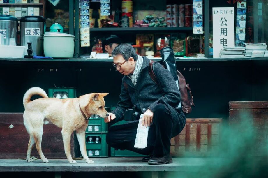 Imagem de 'Hachiko: Para Sempre', que chega aos cinemas em 18 de julho