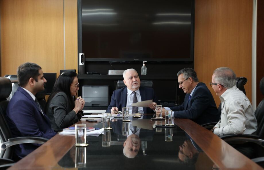 Coordenadoria das Audiências de Custódia expõe ações em reunião