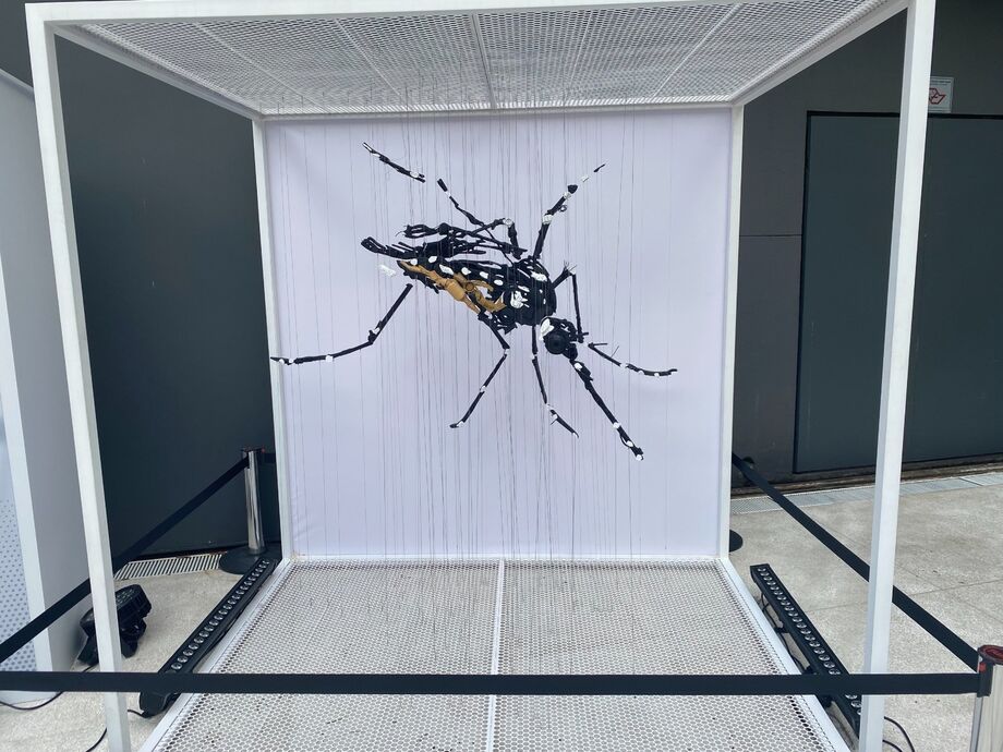 Takeda lança exposição educativa sobre prevenção à dengue em Dourados