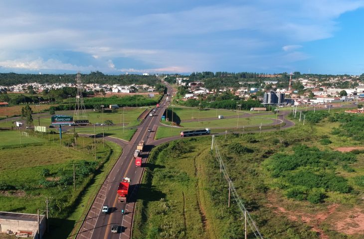 Fase de estudos para concessão da 'rota da celulose' em Mato Grosso do Sul é concluída