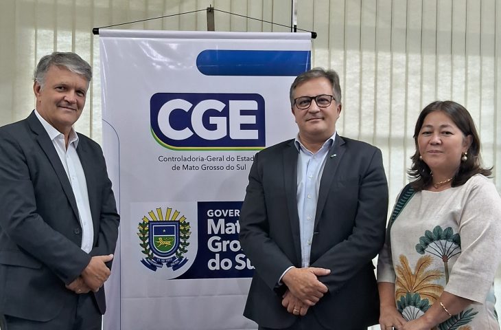 As visitas tendem a fortalecer o controle interno por meio do compartilhamento de metodologias.