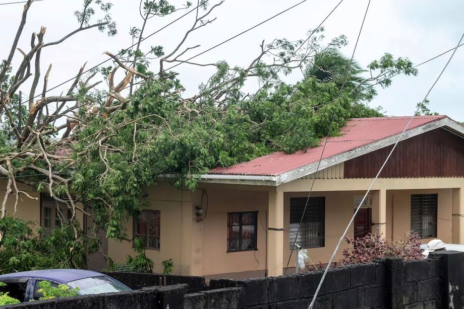 Uma árvore caiu em um telhado de uma casa em Kingstown, em São vicente e Granadinas, após o furacão Beryl