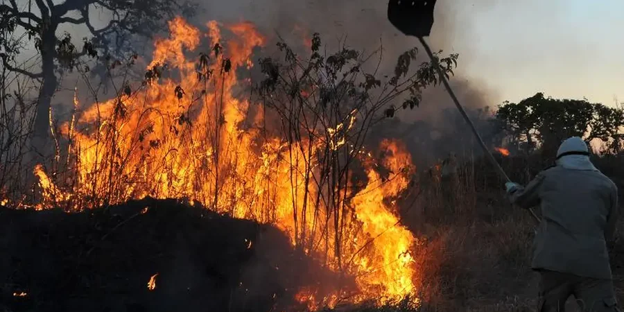 Governo do Amazonas já instituiu um Comitê de Enfrentamento à Estiagem.