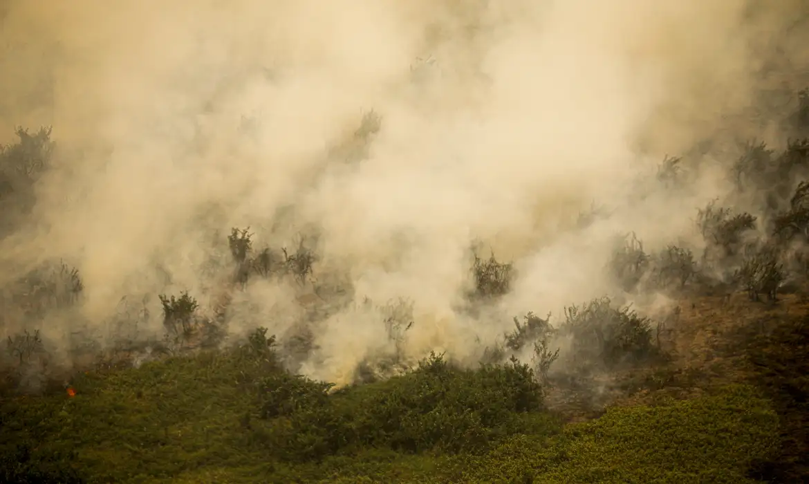 No acumulado de 2024, a área atingida chegou a 712.075 hectares nesta terça-feira.
